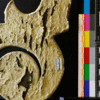 Collections Preservation