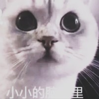 王本毅