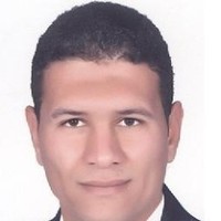 Abdelkawy Ahmed Elgokhy