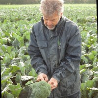 Cees Sintenie