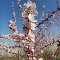 杨才涛