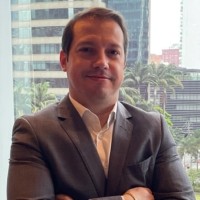 Danilo L. Gritti