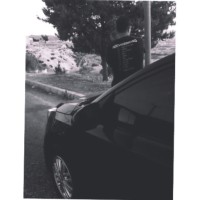 محمد حيمور