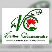 Incubator Volailles