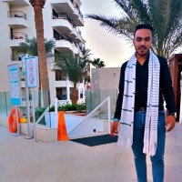 محمود المهدي