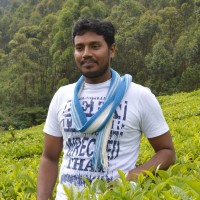 David Thanasamy