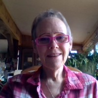 Mary Ann Valikonis