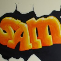Sameer Raman