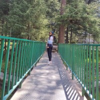 Farhin Alija