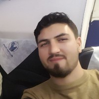 Farshad Sadri