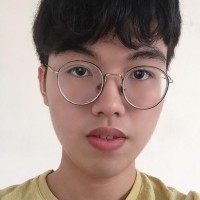 Ngoc-Lam Dinh