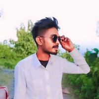 Narayan Meena