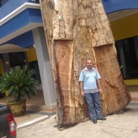 Hossam Mustafa