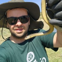 Gian Cleber Zanovello