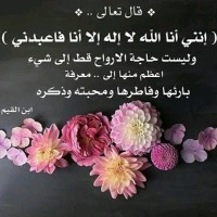 Ahmed Abounawara