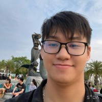 Nguyen Tran Canh