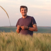 Fernando Tessaro