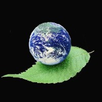 Prithvi Event Management Group