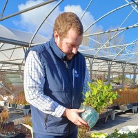 Matthew Lowe  🌳🌳🌳