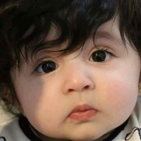 Waseem Shazli Petrolium