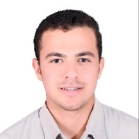 Ahmed M. Negm
