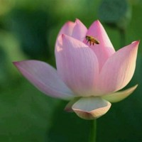 蒋思勇