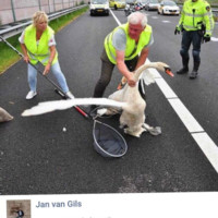 Jan van Gils