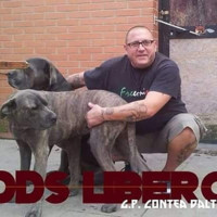 Andrea Bonzo