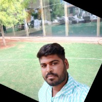 Ravindra V Ravi