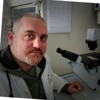 Stefano Fiore