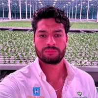 Victor Hernandez Mota