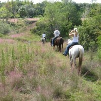 Lady Hawk Farm LLC
