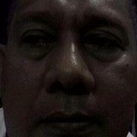 Roy Darsa