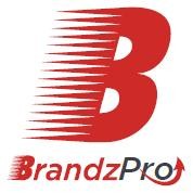 Brandzpro Media