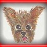 Wally Dog