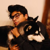 Aditya S.