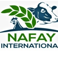 NAFAY INTERNATIONAL NAFAY INTERNATIONAL