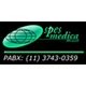 Spes Medica Brasil