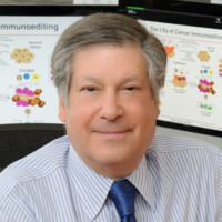 Robert Schreiber