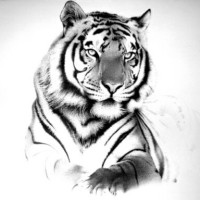 Brian Lester