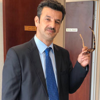 Mohammad Jarrah ✔️
