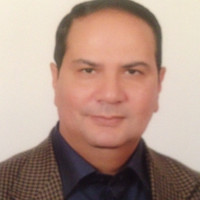 Hani Nasr
