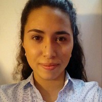 Lis Paola Saldivar Arevalo