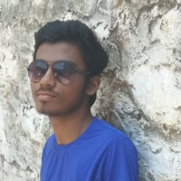 Robin Vignesh