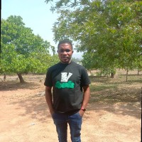 Joel Adekeye