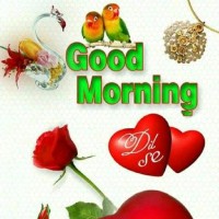 Qaiser Abbas