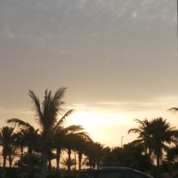 Mohamed bashir