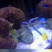 闫浩漪