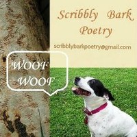 Maureen Clifford The Scribbly Bark Poet