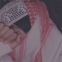 محمد حارثي